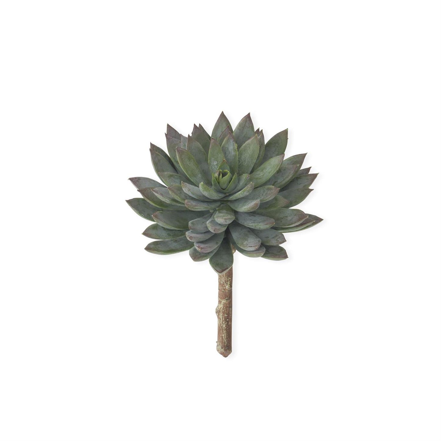 Green & Burgundy Tip Succulent Pick - 6.25"