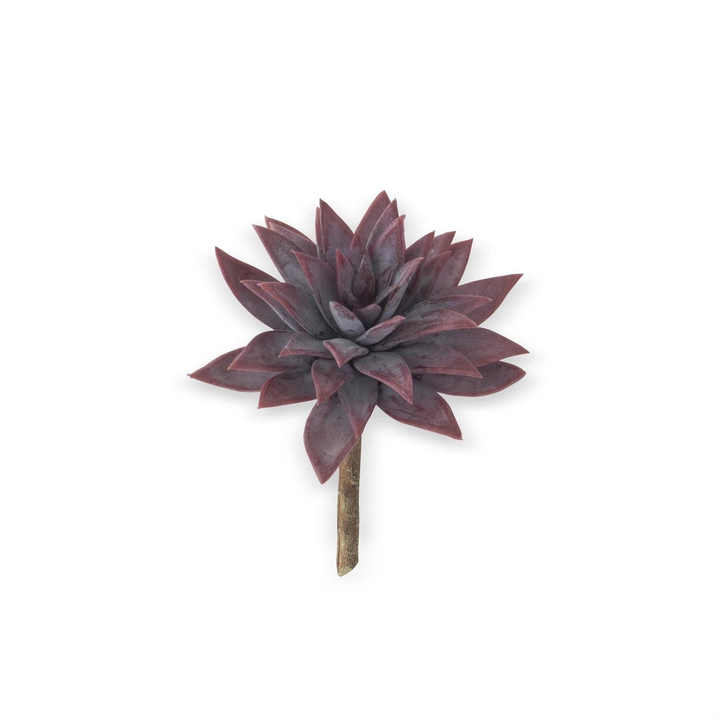 Powdered Burgundy Succulent Pick - 7.5