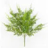 Oregon Juniper Bush W/Blue Berry - 21"