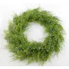 Oregon Juniper Wreath W/ Blue Berries 22"