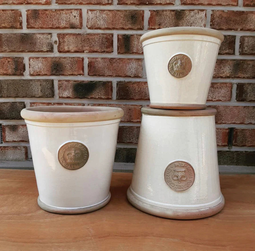Devon- Kew Nursery Planters - Old White