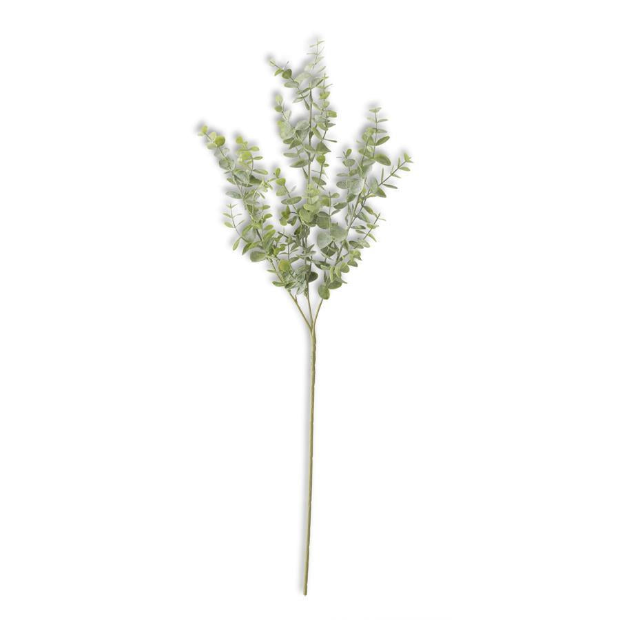 Soft Green Eucalyptus Stem - 26"