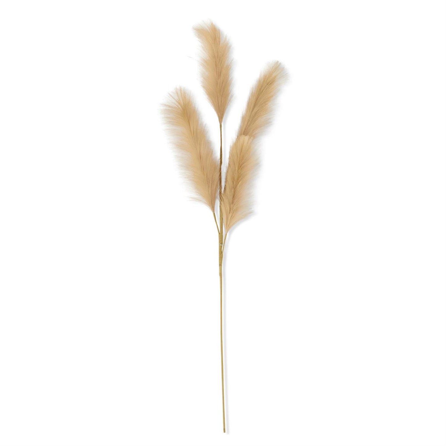 Beige Grass Stem - 42"