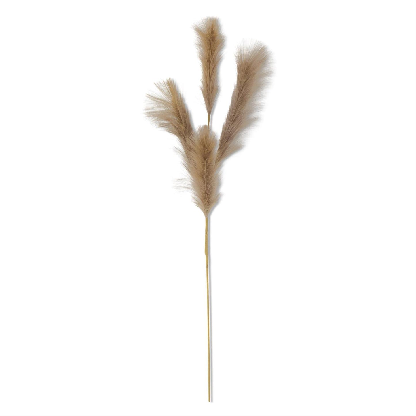 Gray Grass Stem - 42"