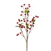 Burgundy Berry Spray - 30"