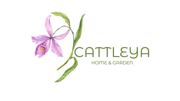 Cattleya Home & Garden