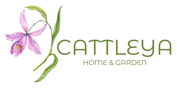 Cattleya Home & Garden