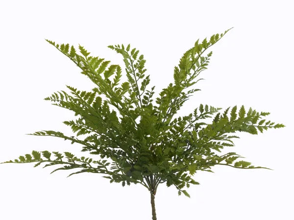 Green Fern Bush - 18"