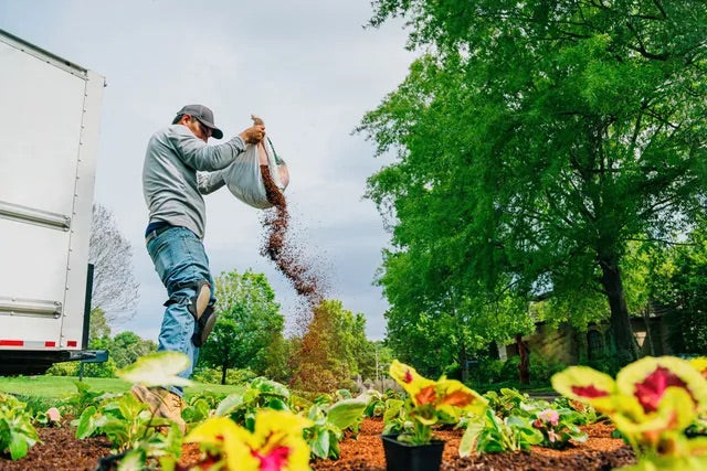 Landscape Design Consult