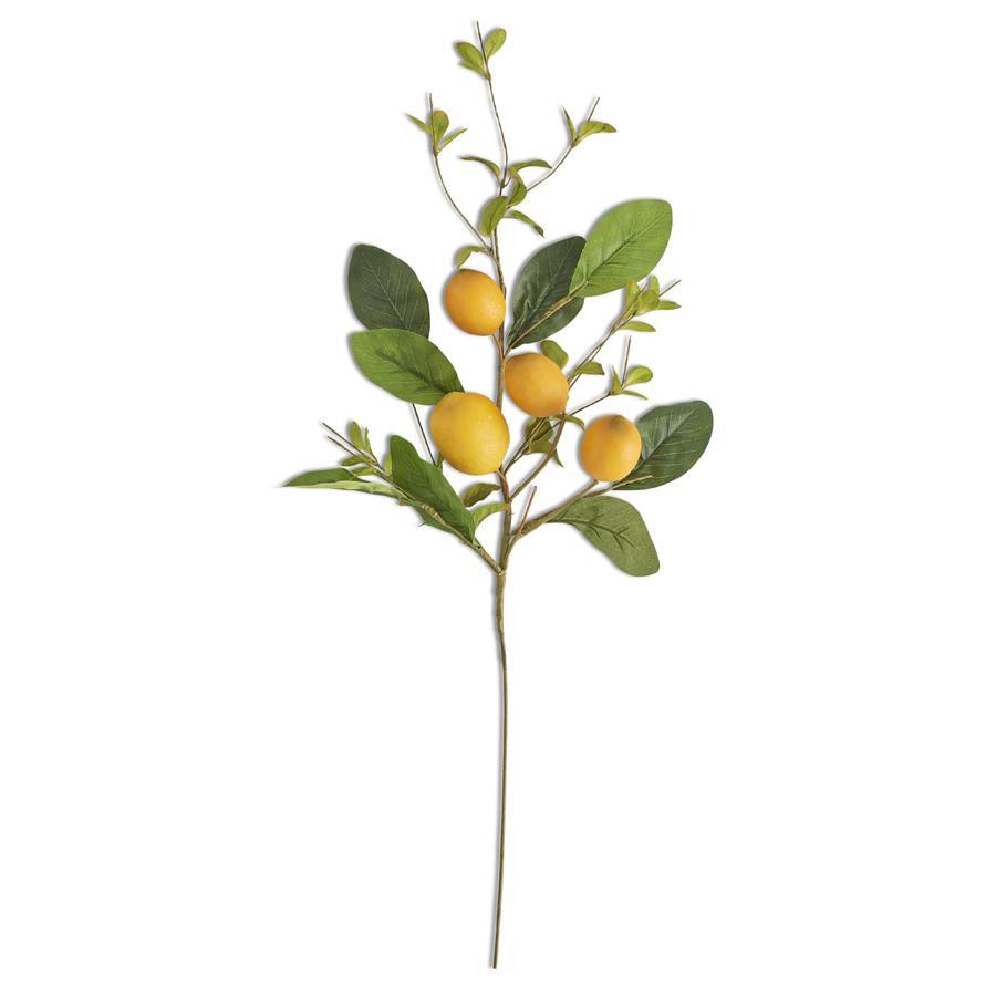 Lemon and Foliage Steam - 28"