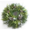 Long Needle Mixed Cone Juniper Eucalyptus Wreath - 24"