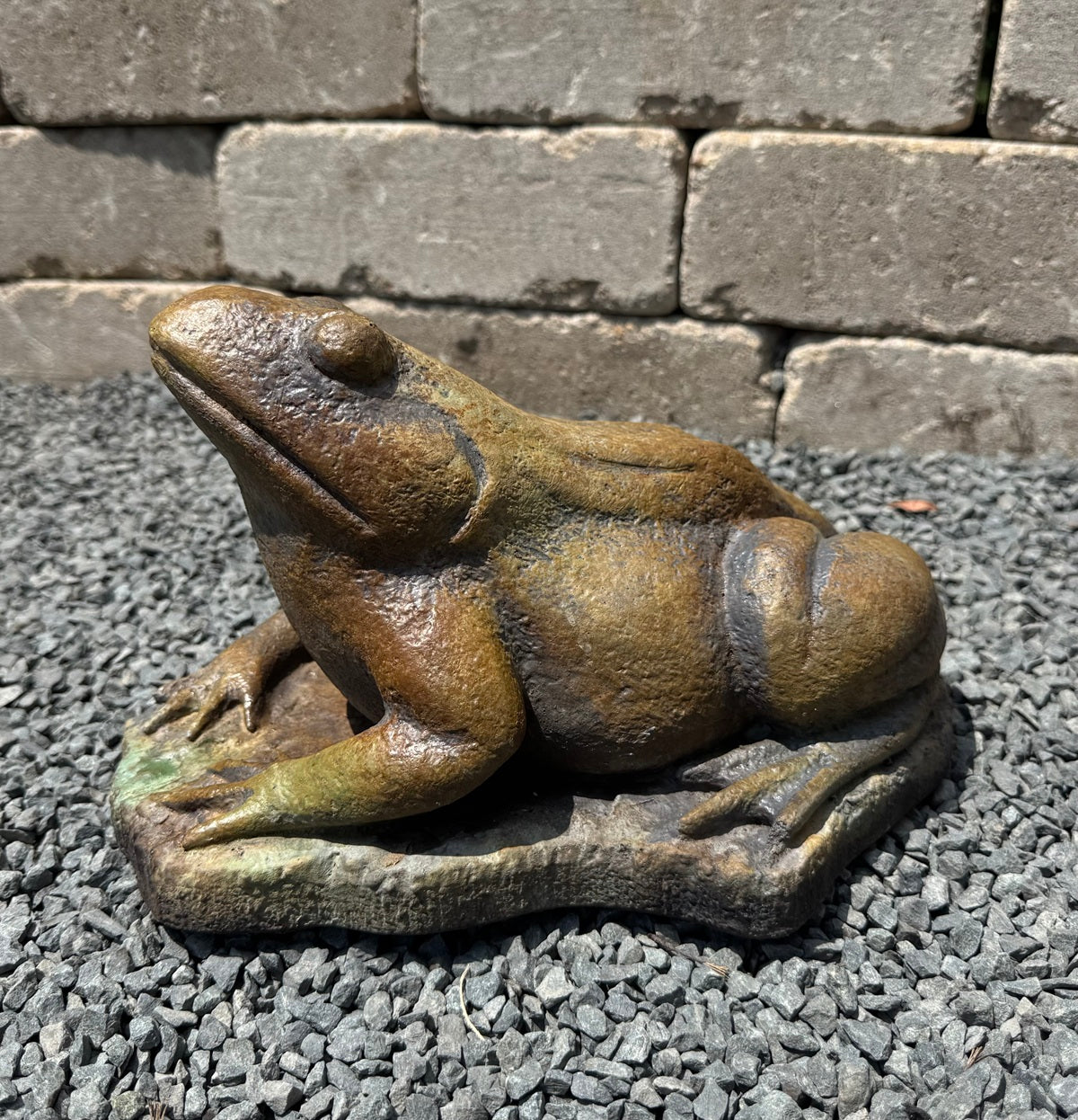 Medium Frog