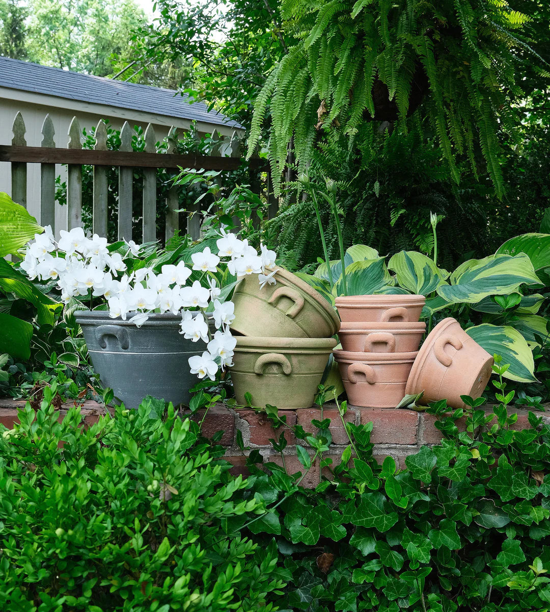 Provence Pot #10