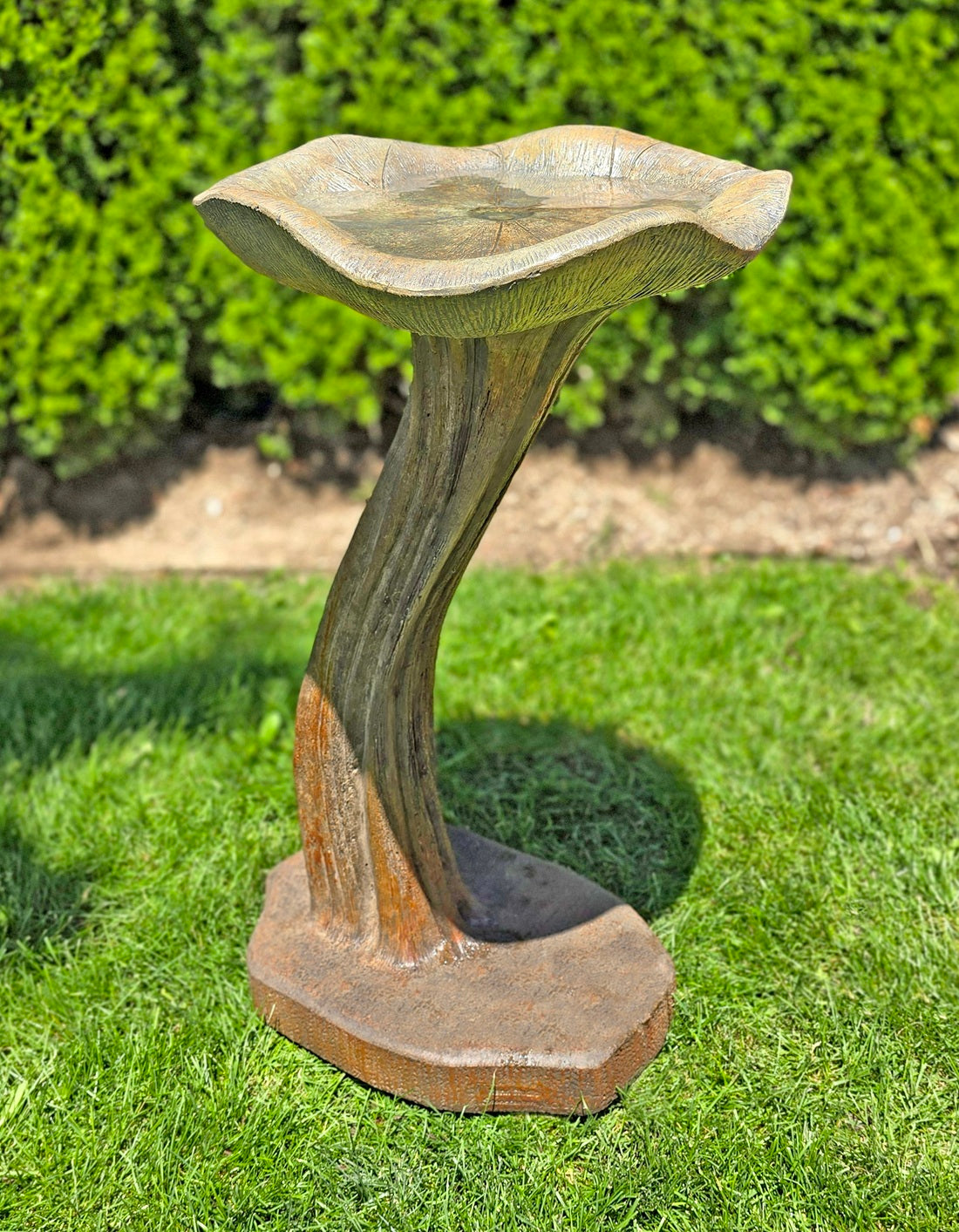 Single Lily Birdbath