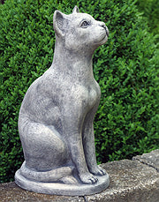 Sitting Cat