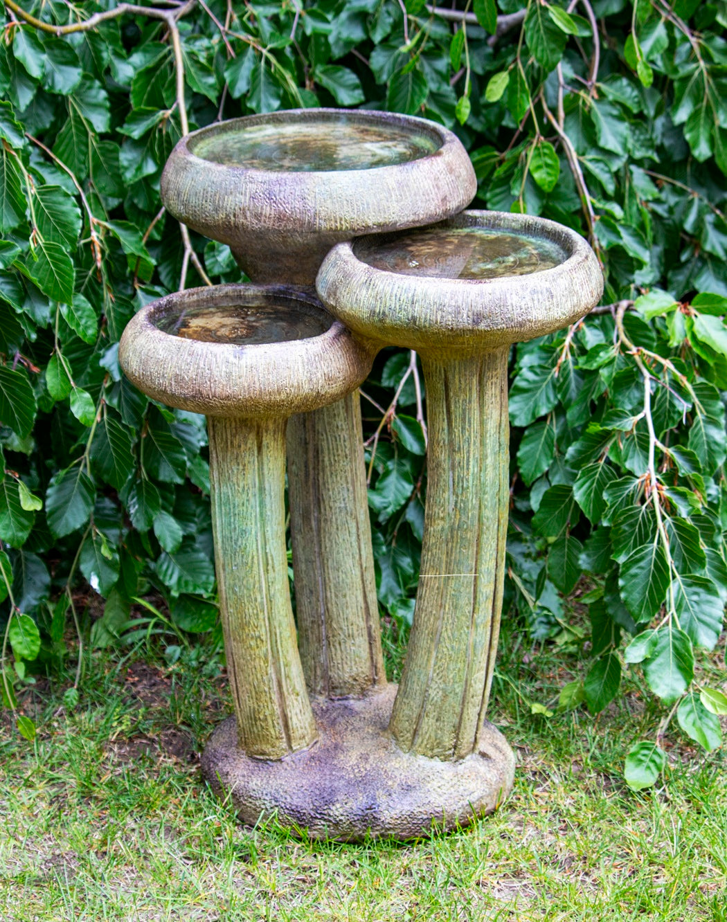Water Lilies Birdbath